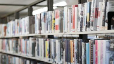 Rows of colorful books on shelves in a well-lit library in West Hartford, CT.