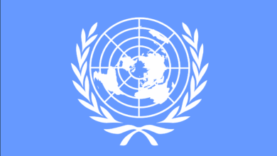 united nations, international, organization, global, world, flag, symbol, blue world, blue global, united nations, united nations, united nations, united nations, united nations