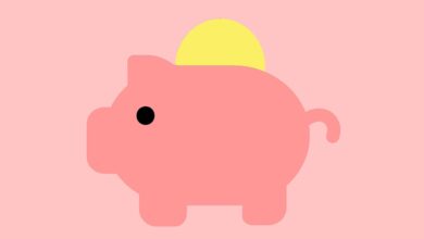 piggy bank, coins, savings, money, finance, budget, currency, financial, fun, investment, cash, save, economy, economical, deposit, invest, icon, business, personal, pink