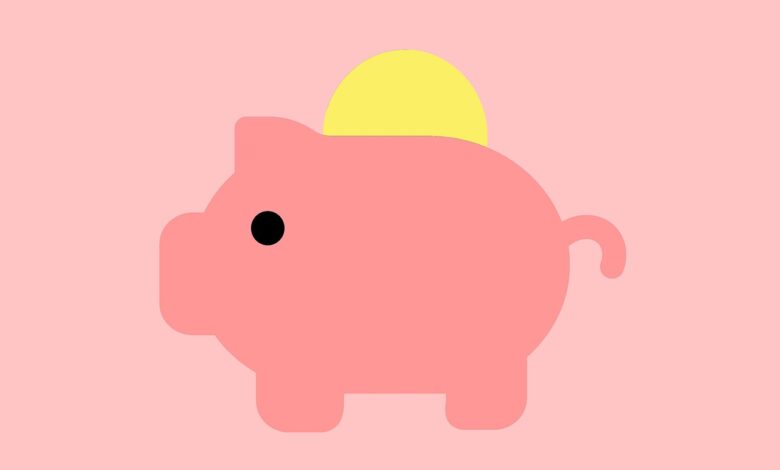 piggy bank, coins, savings, money, finance, budget, currency, financial, fun, investment, cash, save, economy, economical, deposit, invest, icon, business, personal, pink