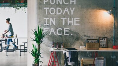 green plant beside white desk